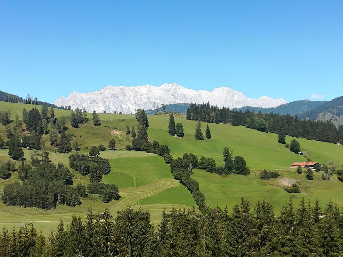 Apartment Hochkoenigblick Pilzegg Embach Buitenkant foto