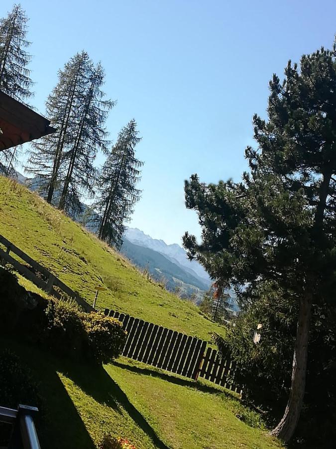 Apartment Hochkoenigblick Pilzegg Embach Buitenkant foto